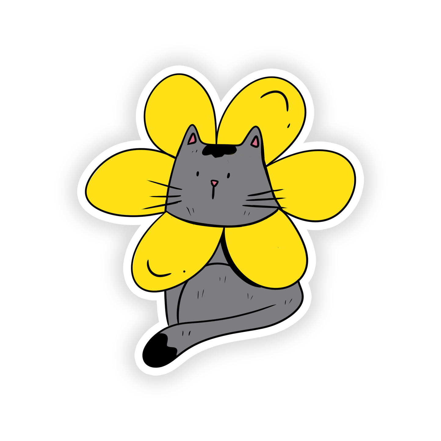 Img