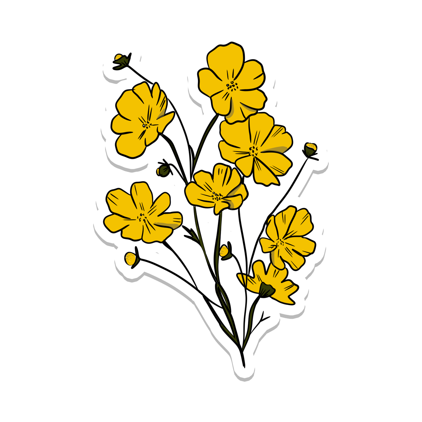 Img